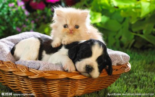 ͻ˹йԮͻҽƶӰ䷢֤