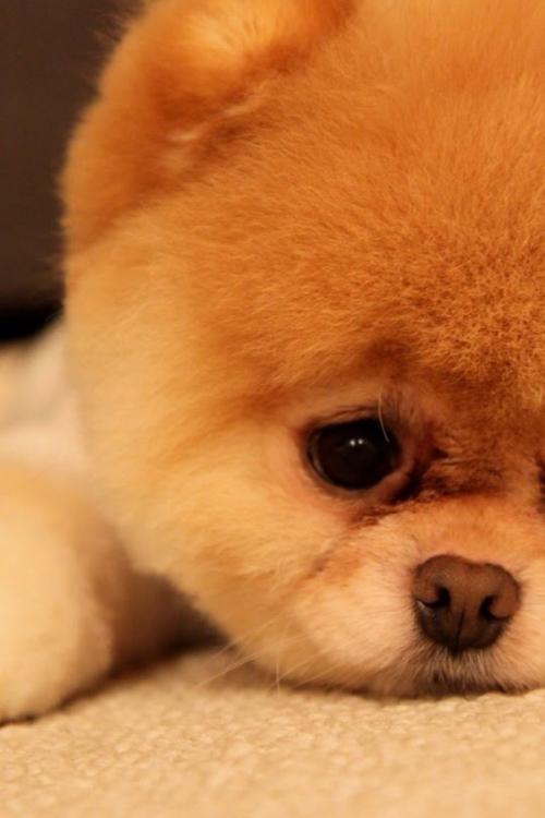 ƶ|ɽ׵طƶǨƶ˿ȫȶƶ