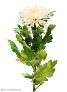 ƺӷⶳٶȼӿ쳤ȴﵽ631.3 ǧ׷