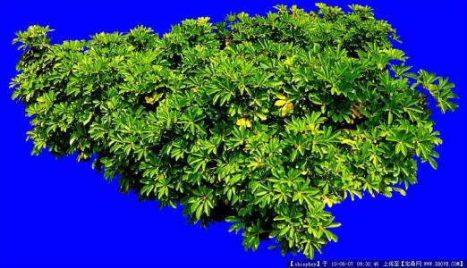 㽭:ɧŵ绰ռ 110ܽӾĳΪЧ