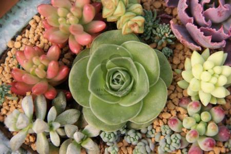 㽭:ɧŵ绰ռ 110ܽӾĳΪЧ