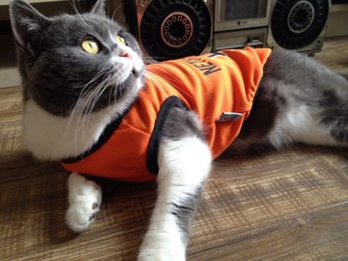 Сѧʱż ׶԰Ԫʱͣ԰